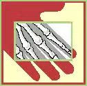 Logo der Radiologie 
